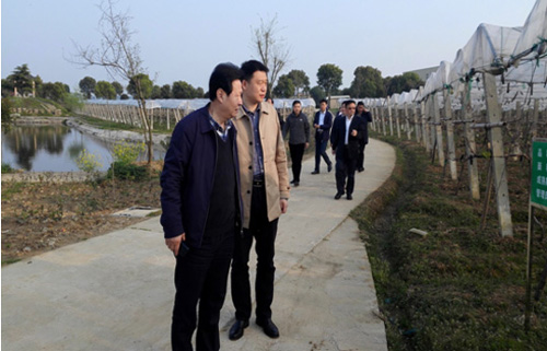 K8��������Ӯ��һ����������